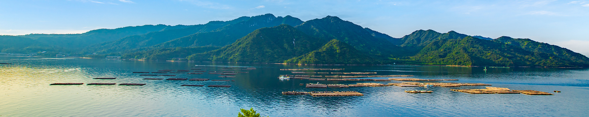 クルーズプラン