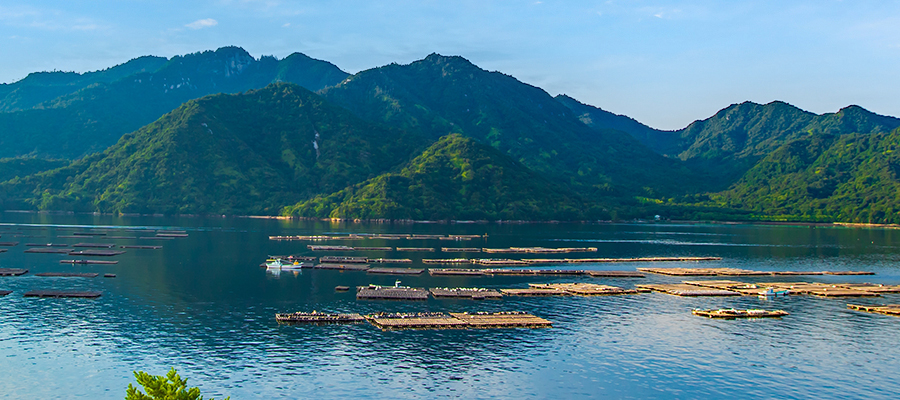 クルーズプラン