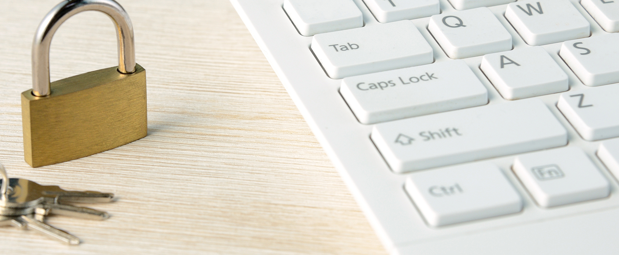 クルーズプラン