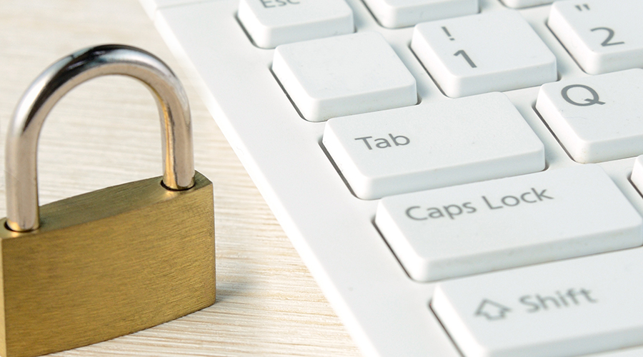 クルーズプラン